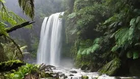 Natural surrounding